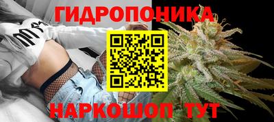 дурь Бийск