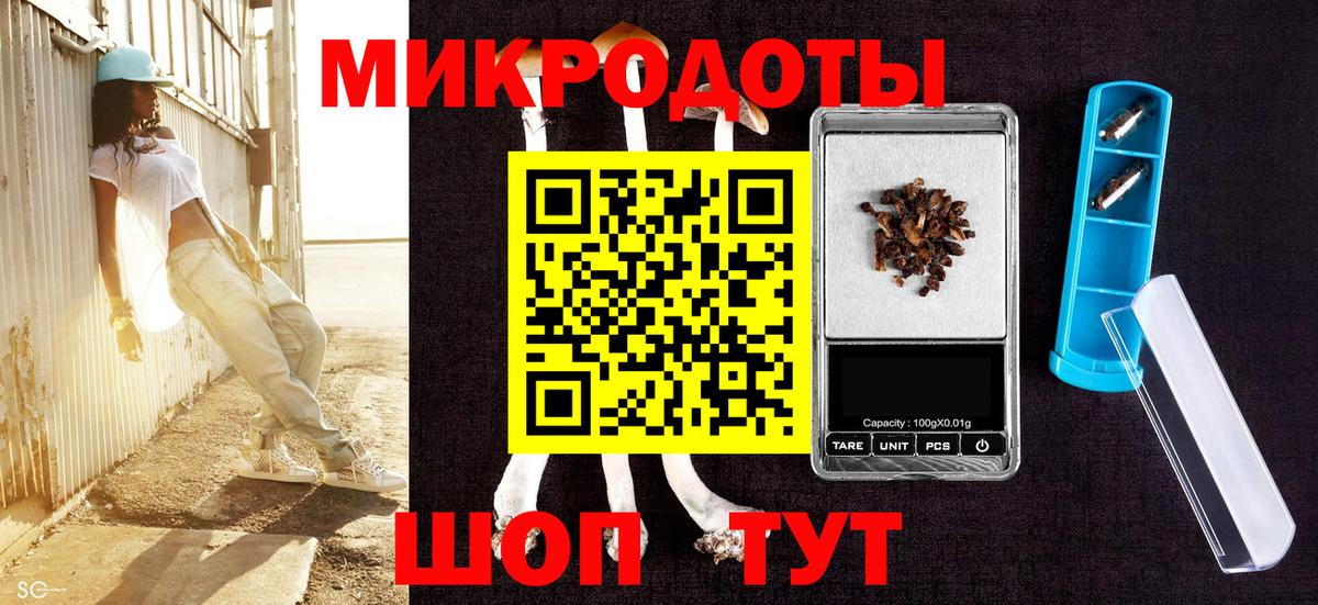 Псилоцибиновые грибы MAGIC MUSHROOMS Зима