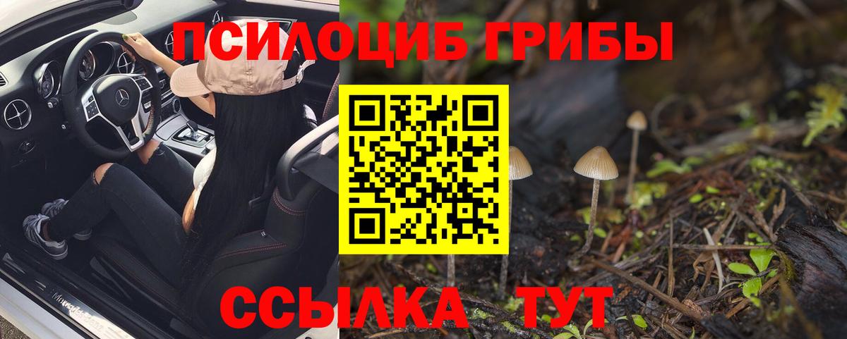 Зима  Псилоцибиновые грибы Cubensis  Псилоцибиновые грибы Cubensis  Вход с VPN 